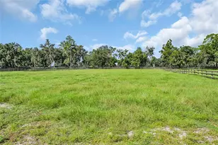 6155 NW 145th Avenue Rd, Morriston, FL 32668 - Photo 20