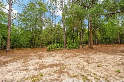 8125 SW 130th Terrace, Dunnellon, FL 34432 - Photo 44
