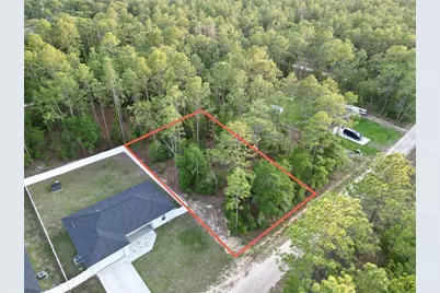 Tbd SW 30th Street, Ocala, FL 34481 - Photo 2