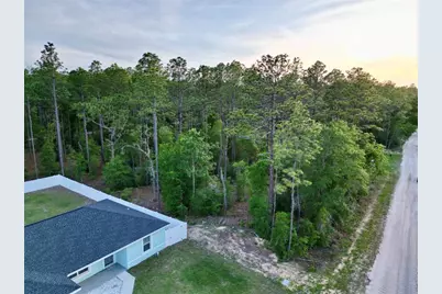 Tbd SW 30th Street, Ocala, FL 34481 - Photo 6