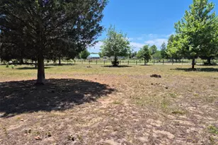 11651 NE 73rd Ln, Bronson, FL 32621 - Photo 18