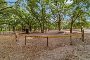 19551 SE 42nd Pl, Morriston, FL 32668 - Photo 48