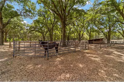 19551 SE 42nd Place, Morriston, FL 32668 - Photo 50