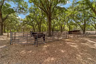 19551 SE 42nd Pl, Morriston, FL 32668 - Photo 50