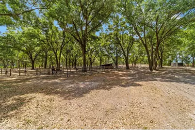 19551 SE 42nd Place, Morriston, FL 32668 - Photo 52