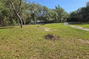 624 E Winnetka St, Hernando, FL 34442 - Photo 22