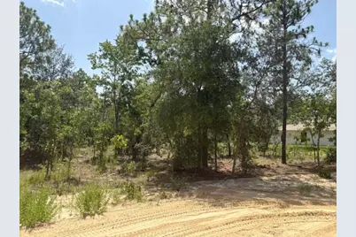 5535 SW 121st Terrace, Ocala, FL 34481 - Photo 10