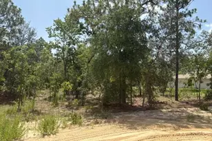 5535 SW 121st Terrace, Ocala, FL 34481 - Photo 10