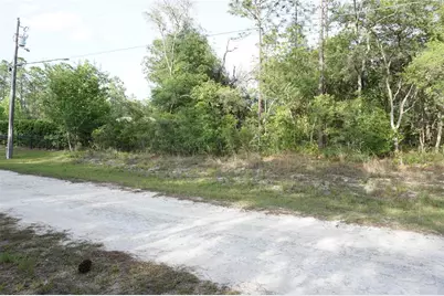 00 (Tbd) SW 135 Terrace Road, Dunnellon, FL 34432 - Photo 2