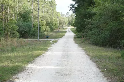 00 (Tbd) SW 135 Terrace Road, Dunnellon, FL 34432 - Photo 10