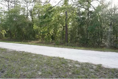 00 (Tbd) SW 135 Terrace Road, Dunnellon, FL 34432 - Photo 12