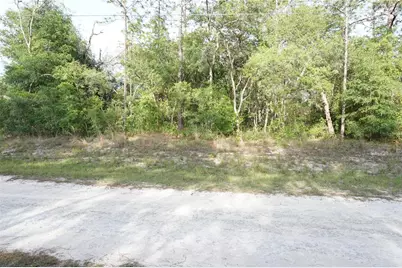 00 (Tbd) SW 135 Terrace Road, Dunnellon, FL 34432 - Photo 8