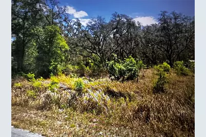 293 Oak Lane Dr., Ocala, FL 34472 - Photo 10