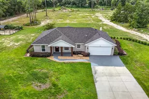 15204 Ganster Dr, Brooksville, FL 34613 - Photo 8