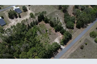 17950 SE 60th Lane, Morriston, FL 32668 - Photo 8