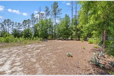 17950 SE 60th Lane, Morriston, FL 32668 - Photo 6