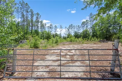 17950 SE 60th Lane, Morriston, FL 32668 - Photo 2