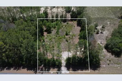17950 SE 60th Lane, Morriston, FL 32668 - Photo 10