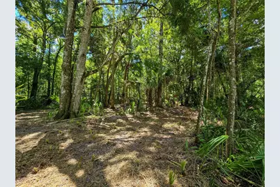 2381 N Jennifer Terrace, Inverness, FL 34453 - Photo 8