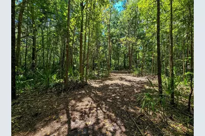2381 N Jennifer Terrace, Inverness, FL 34453 - Photo 4