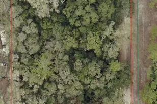 SW 158th Ln, Dunnellon, FL 34432 - Photo 1