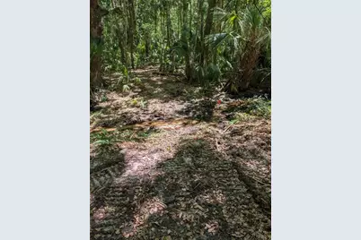 0 NW 202nd Pl, Mc Intosh, FL 32664 - Photo 6