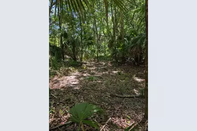0 NW 202nd Pl, Mc Intosh, FL 32664 - Photo 2