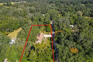 7802 Mizell St, Coleman, FL 33521 - Photo 86