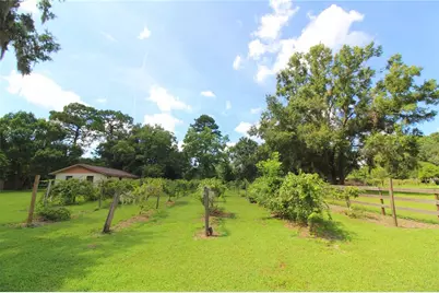 8440 SW 73rd Avenue, Ocala, FL 34476 - Photo 40
