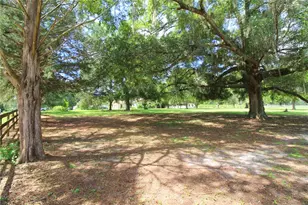 8440 SW 73rd Ave, Ocala, FL 34476 - Photo 10
