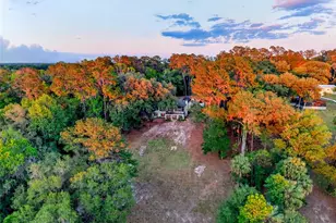 17704 SE 59 St, Micanopy, FL 32667 - Photo 40
