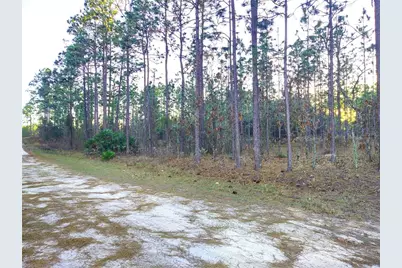 Tbd SW 127th Ave Road, Ocala, FL 34481 - Photo 4