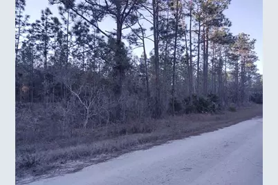 5980 SW 127th Ave Road, Ocala, FL 34481 - Photo 4
