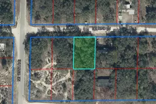 11548 NE 62nd Ln, Williston, FL 32696 - Photo 1