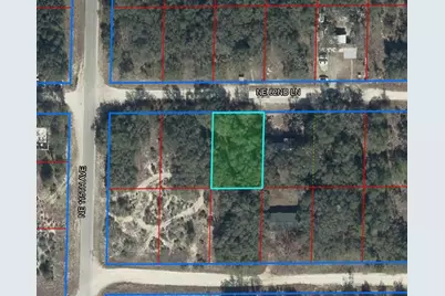 11548 NE 62nd Lane, Williston, FL 32696 - Photo 2