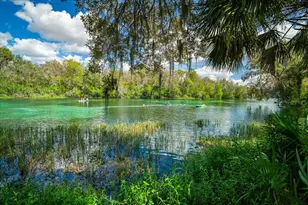 8859 SW 196th Avenue Rd, Dunnellon, FL 34432 - Photo 50