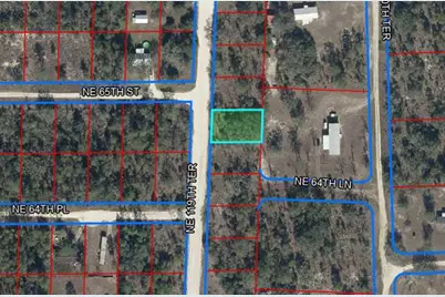 Tbd NE 119th Terrace, Williston, FL 32696 - Photo 1