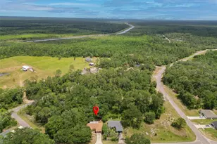 10 Sequoia Dr Trce, Ocklawaha, FL 32179 - Photo 6
