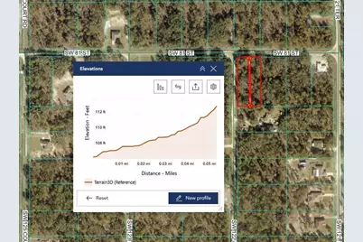 Tbd SW 81st Street SW, Dunnellon, FL 34432 - Photo 8