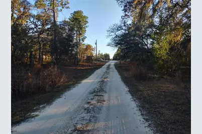 Tbd SW 81st Street SW, Dunnellon, FL 34432 - Photo 6