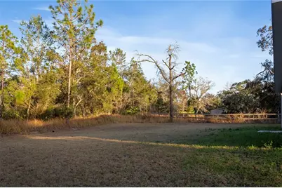 1569 W Mc Neal Drive, Citrus Springs, FL 34434 - Photo 16