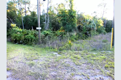 Sequoia Drive, Ocklawaha, FL 32179 - Photo 2