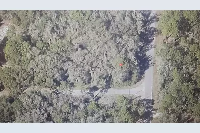 Sequoia Drive, Ocklawaha, FL 32179 - Photo 4