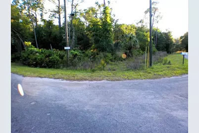 Sequoia Drive, Ocklawaha, FL 32179 - Photo 1