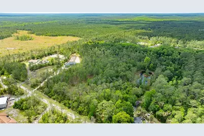 3623 Conifer Lane, Ormond Beach, FL 32174 - Photo 4