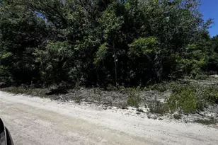 0 SW 104th Ln, Dunnellon, FL 34432 - Photo 1