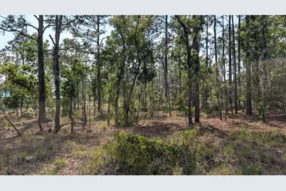 Lot 32 NW Hemlock Avenue, Dunnellon, FL 34431 - Photo 8