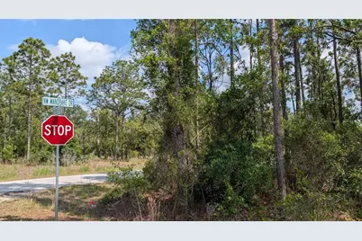 Lot 32 NW Hemlock Avenue, Dunnellon, FL 34431 - Photo 6