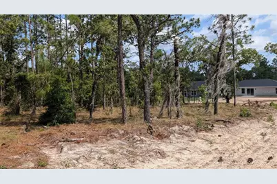 Lot 32 NW Hemlock Avenue, Dunnellon, FL 34431 - Photo 2