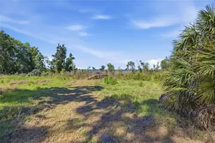 3980 SE 183rd Avenue Rd, Ocklawaha, FL 32179 - Photo 34